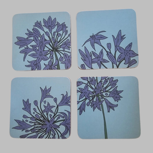 Agapanthus Coasters